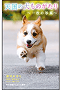 小学館ジュニア文庫　天国の犬ものがたり〜一枚の写真〜