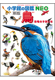 小学館の図鑑NEO〔新版〕鳥