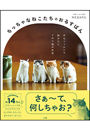 ちっちゃなねこたちのおるすばん　〜羊毛フェルトで紡がれた　てのり猫の世界〜