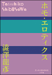P+D BOOKS　ホモ・エロティクス