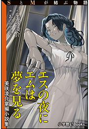 SとMが結ぶ物語「エスの夜にエムは夢を見る——美咲凌介掌編小説集」