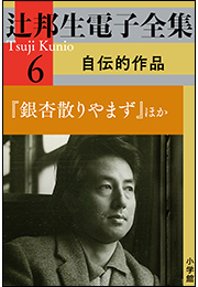 辻邦生電子全集 6巻 自伝的作品　『銀杏散りやまず』ほか