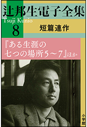 辻邦生電子全集 8巻 短篇連作　『ある生涯の七つの場所5〜7』ほか