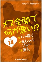 メス全開で何が悪い!?　vol.14〜ハメ撮り、赤ちゃんプレー、愛人〜